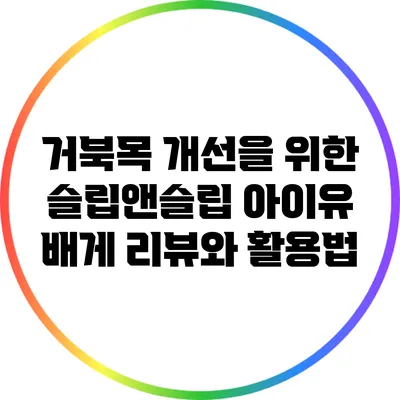 거북목 개선을 위한 슬립앤슬립 아이유 배게 리뷰와 활용법