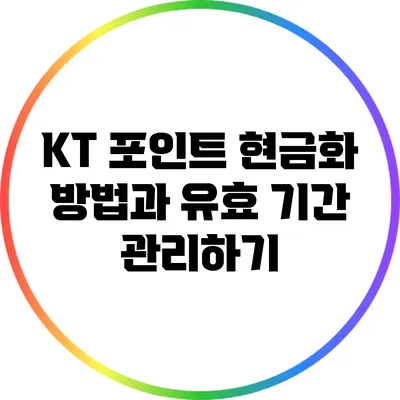 KT 포인트 현금화 방법과 유효 기간 관리하기