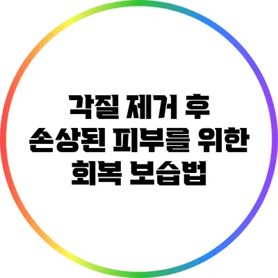 각질 제거 후 손상된 피부를 위한 회복 보습법
