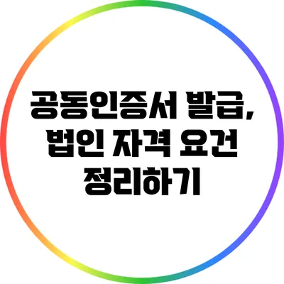 공동인증서 발급, 법인 자격 요건 정리하기