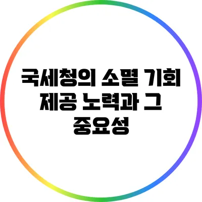 국세청의 소멸 기회 제공 노력과 그 중요성