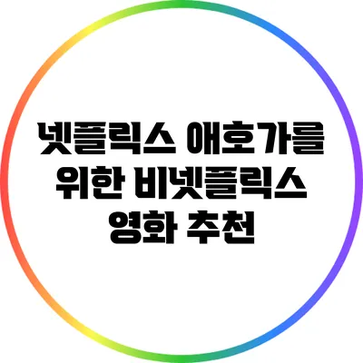 넷플릭스 애호가를 위한 비넷플릭스 영화 추천