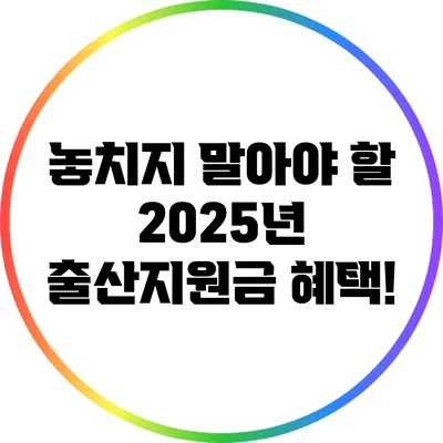 놓치지 말아야 할 2025년 출산지원금 혜택!
