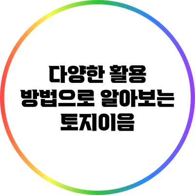 다양한 활용 방법으로 알아보는 토지이음