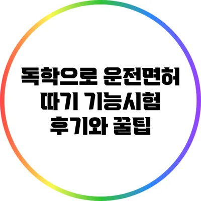 독학으로 운전면허 따기: 기능시험 후기와 꿀팁