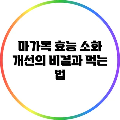 마가목 효능: 소화 개선의 비결과 먹는 법