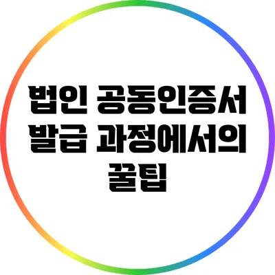 법인 공동인증서 발급 과정에서의 꿀팁