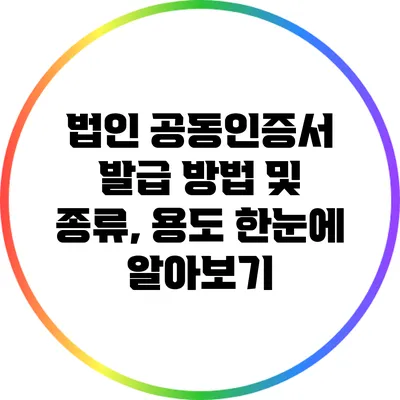 법인 공동인증서 발급 방법 및 종류, 용도 한눈에 알아보기