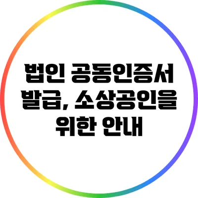 법인 공동인증서 발급, 소상공인을 위한 안내