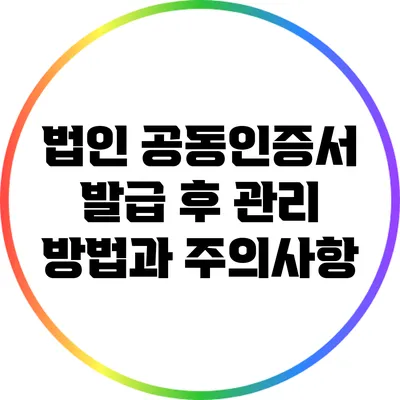 법인 공동인증서 발급 후 관리 방법과 주의사항