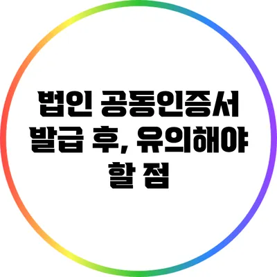 법인 공동인증서 발급 후, 유의해야 할 점