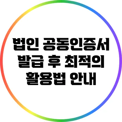 법인 공동인증서 발급 후 최적의 활용법 안내