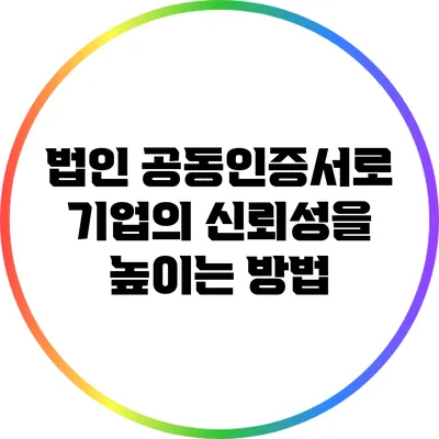 법인 공동인증서로 기업의 신뢰성을 높이는 방법