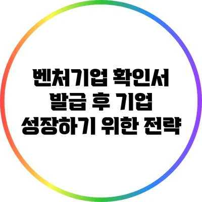 벤처기업 확인서 발급 후 기업 성장하기 위한 전략