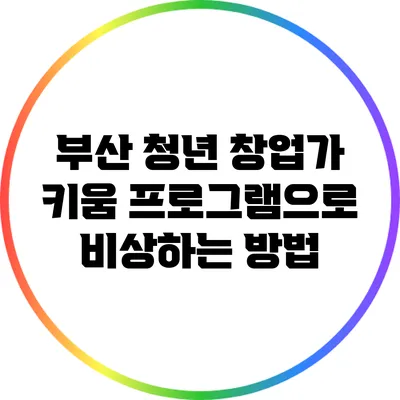부산 청년 창업가 키움 프로그램으로 비상하는 방법
