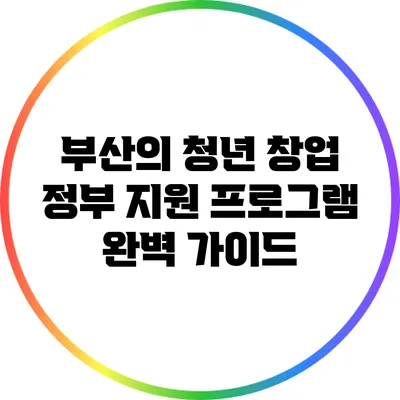부산의 청년 창업 정부 지원 프로그램 완벽 가이드