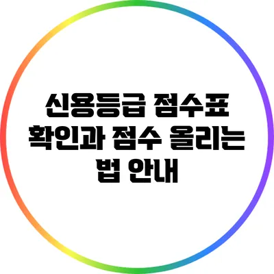 신용등급 점수표 확인과 점수 올리는 법 안내