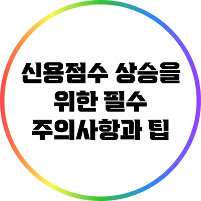 신용점수 상승을 위한 필수 주의사항과 팁