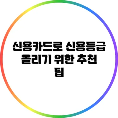 신용카드로 신용등급 올리기 위한 추천 팁