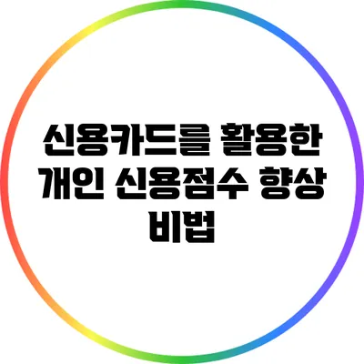 신용카드를 활용한 개인 신용점수 향상 비법