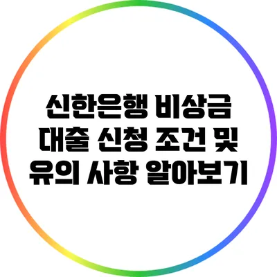 신한은행 비상금 대출 신청 조건 및 유의 사항 알아보기