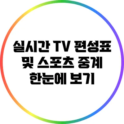 실시간 TV 편성표 및 스포츠 중계 한눈에 보기
