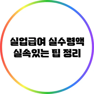 실업급여 실수령액 실속있는 팁 정리