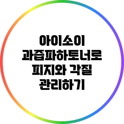 아이소이 과즙파하토너로 피지와 각질 관리하기