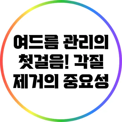 여드름 관리의 첫걸음! 각질 제거의 중요성