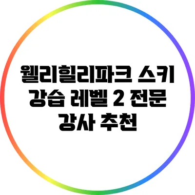 웰리힐리파크 스키 강습: 레벨 2 전문 강사 추천