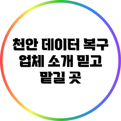 천안 데이터 복구 업체 소개: 믿고 맡길 곳