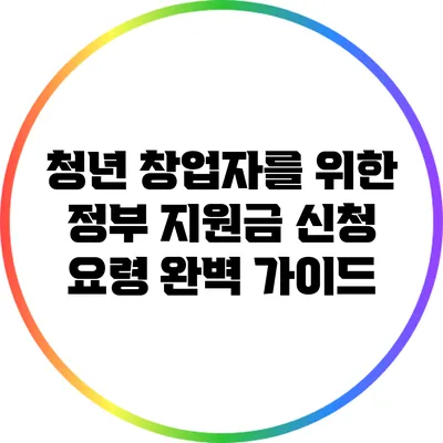 청년 창업자를 위한 정부 지원금 신청 요령 완벽 가이드