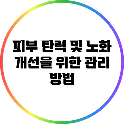 피부 탄력 및 노화 개선을 위한 관리 방법