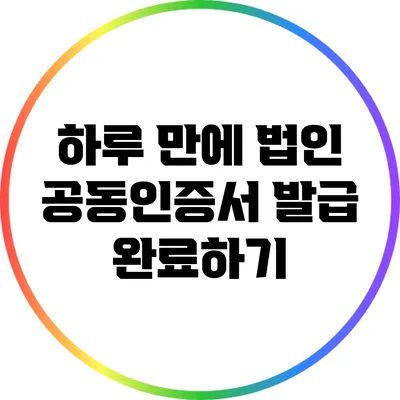 하루 만에 법인 공동인증서 발급 완료하기
