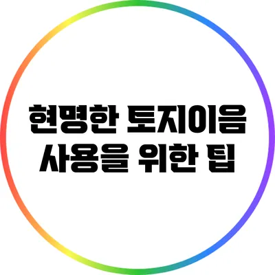 현명한 토지이음 사용을 위한 팁