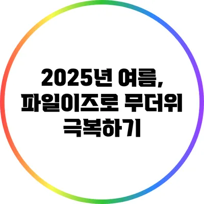 2025년 여름, 파일이즈로 무더위 극복하기
