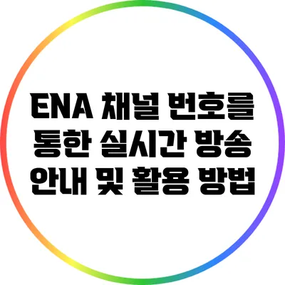 ENA 채널 번호를 통한 실시간 방송 안내 및 활용 방법