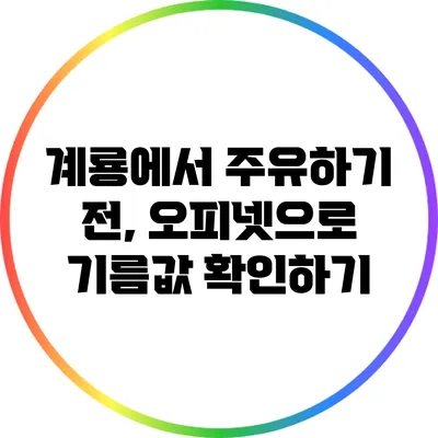 계룡에서 주유하기 전, 오피넷으로 기름값 확인하기