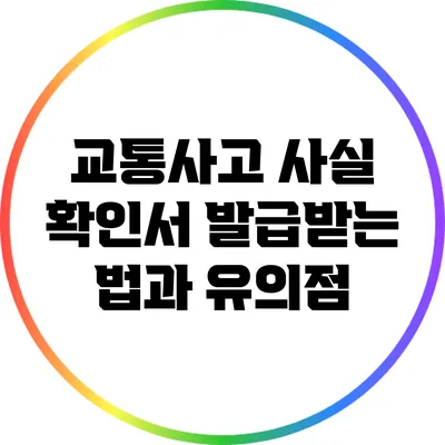교통사고 사실 확인서 발급받는 법과 유의점