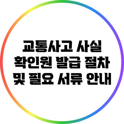 교통사고 사실 확인원 발급 절차 및 필요 서류 안내