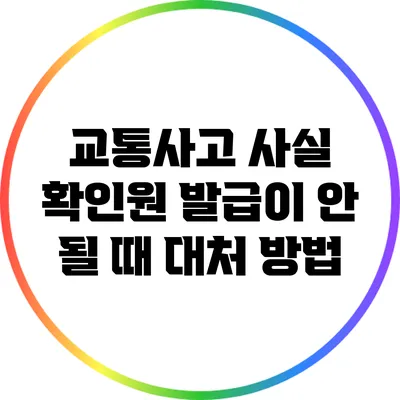교통사고 사실 확인원 발급이 안 될 때 대처 방법
