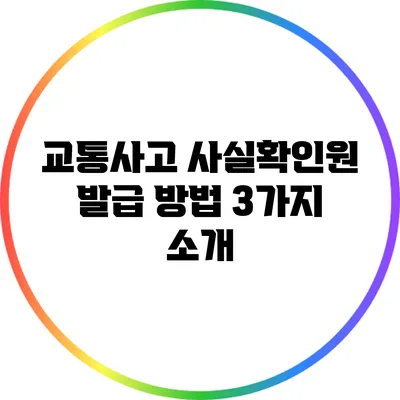 교통사고 사실확인원 발급 방법 3가지 소개