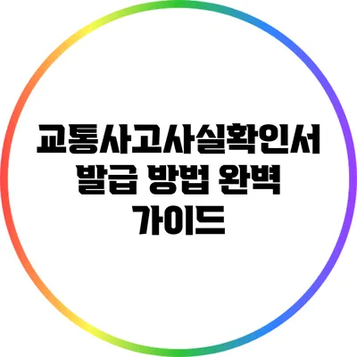 교통사고사실확인서 발급 방법 완벽 가이드