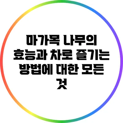 마가목 나무의 효능과 차로 즐기는 방법에 대한 모든 것