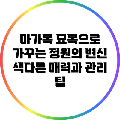 마가목 묘목으로 가꾸는 정원의 변신: 색다른 매력과 관리 팁