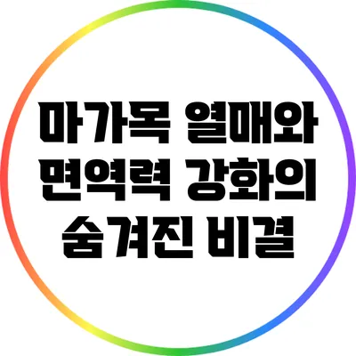 마가목 열매와 면역력 강화의 숨겨진 비결