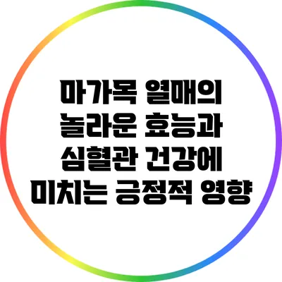 마가목 열매의 놀라운 효능과 심혈관 건강에 미치는 긍정적 영향