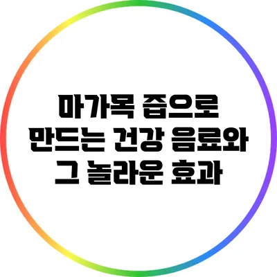마가목 즙으로 만드는 건강 음료와 그 놀라운 효과