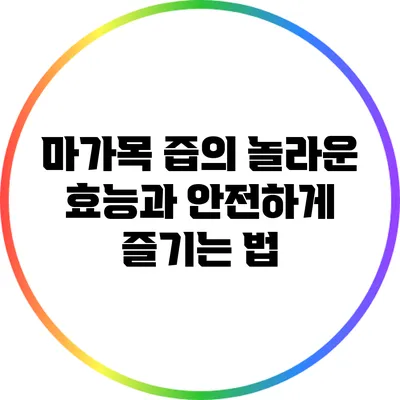 마가목 즙의 놀라운 효능과 안전하게 즐기는 법