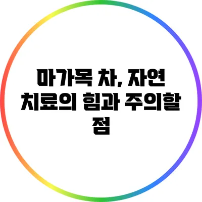 마가목 차, 자연 치료의 힘과 주의할 점